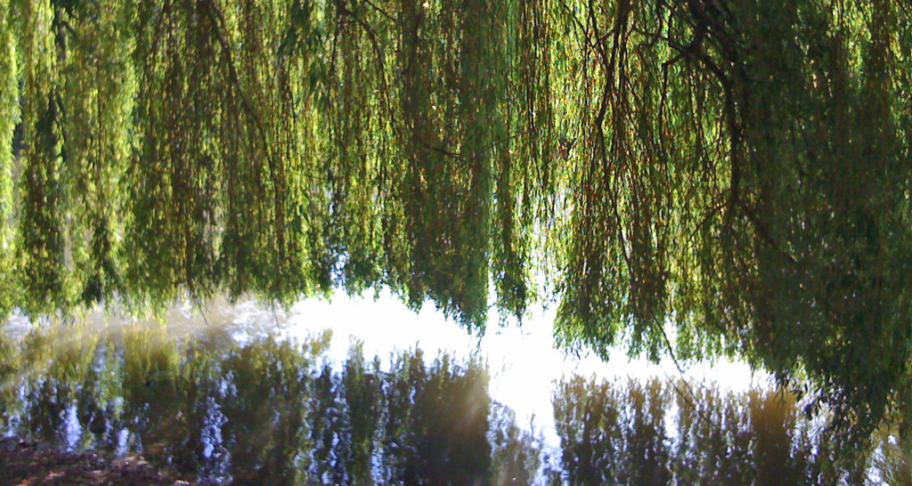 Ostpark in Frankfurt am Main