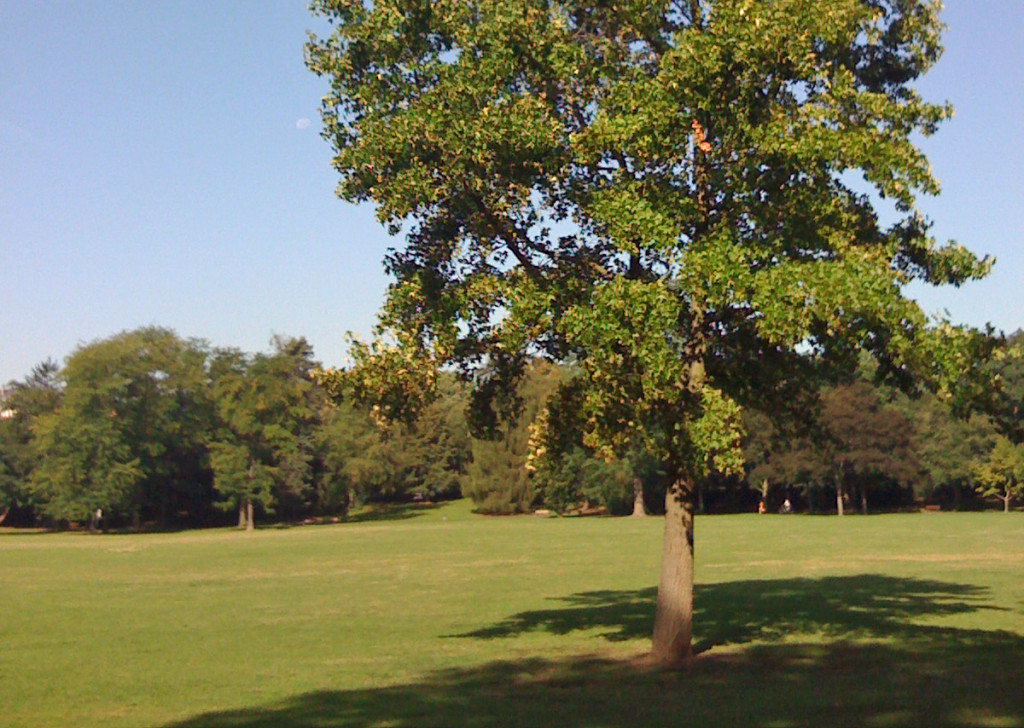 Ostpark in Frankfurt am Main