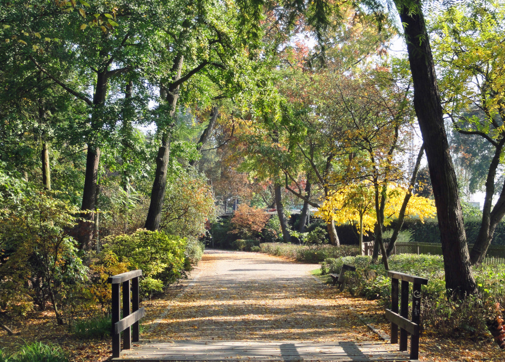 Fotos von Frankfurt am Main im Herbst