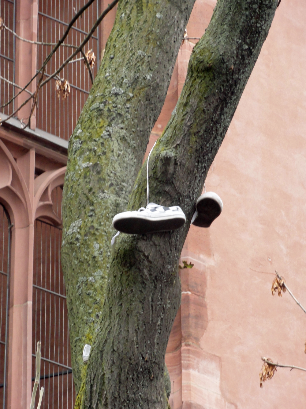 Schuhe an Schnürsenkeln aufgehangen im öffentlichen Raum