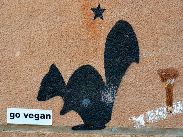 streetart-marburg-eichhörnchen-go-vegan