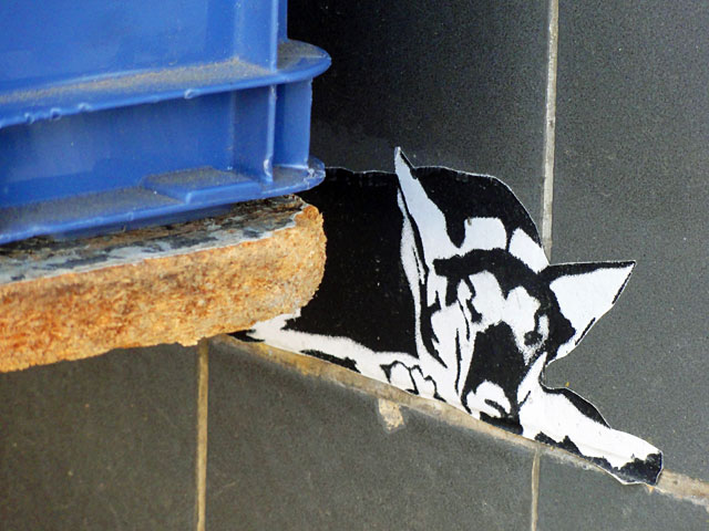 streetart-marburg-hund