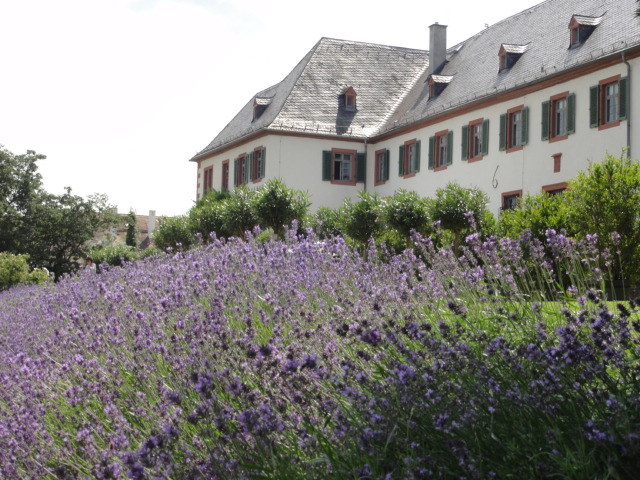 Der Klostergarten in Seligenstadt