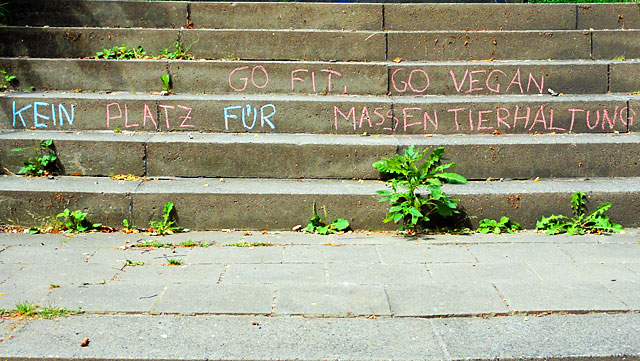 vegan-treppe-frankfurt-5