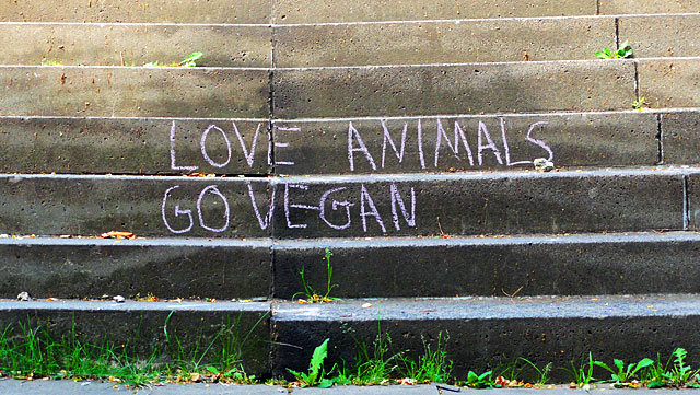 vegan-treppe-frankfurt-6