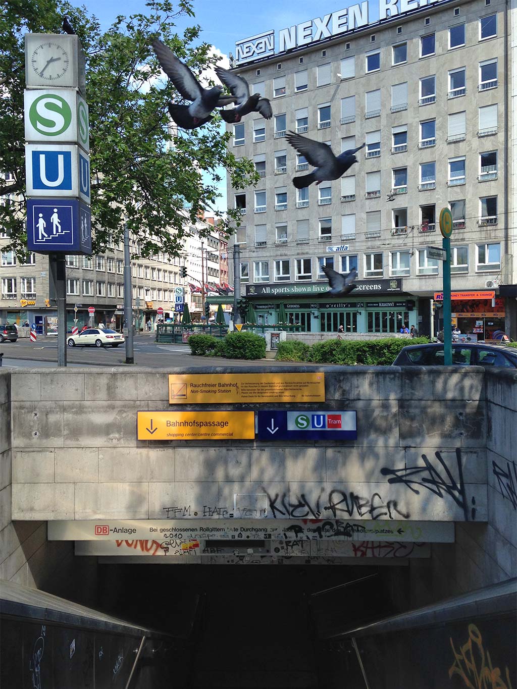 Fliegende Tauben am Frankfurter Hauptbahnhof