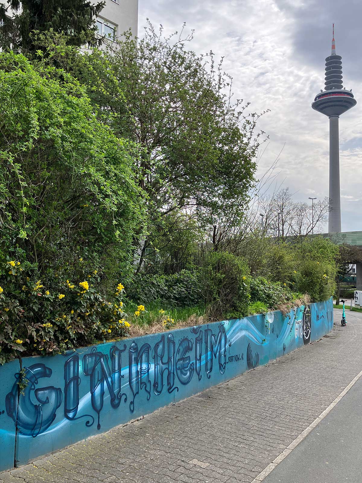 Ginnheim Wall an der Hügelstraße in Frankfurt