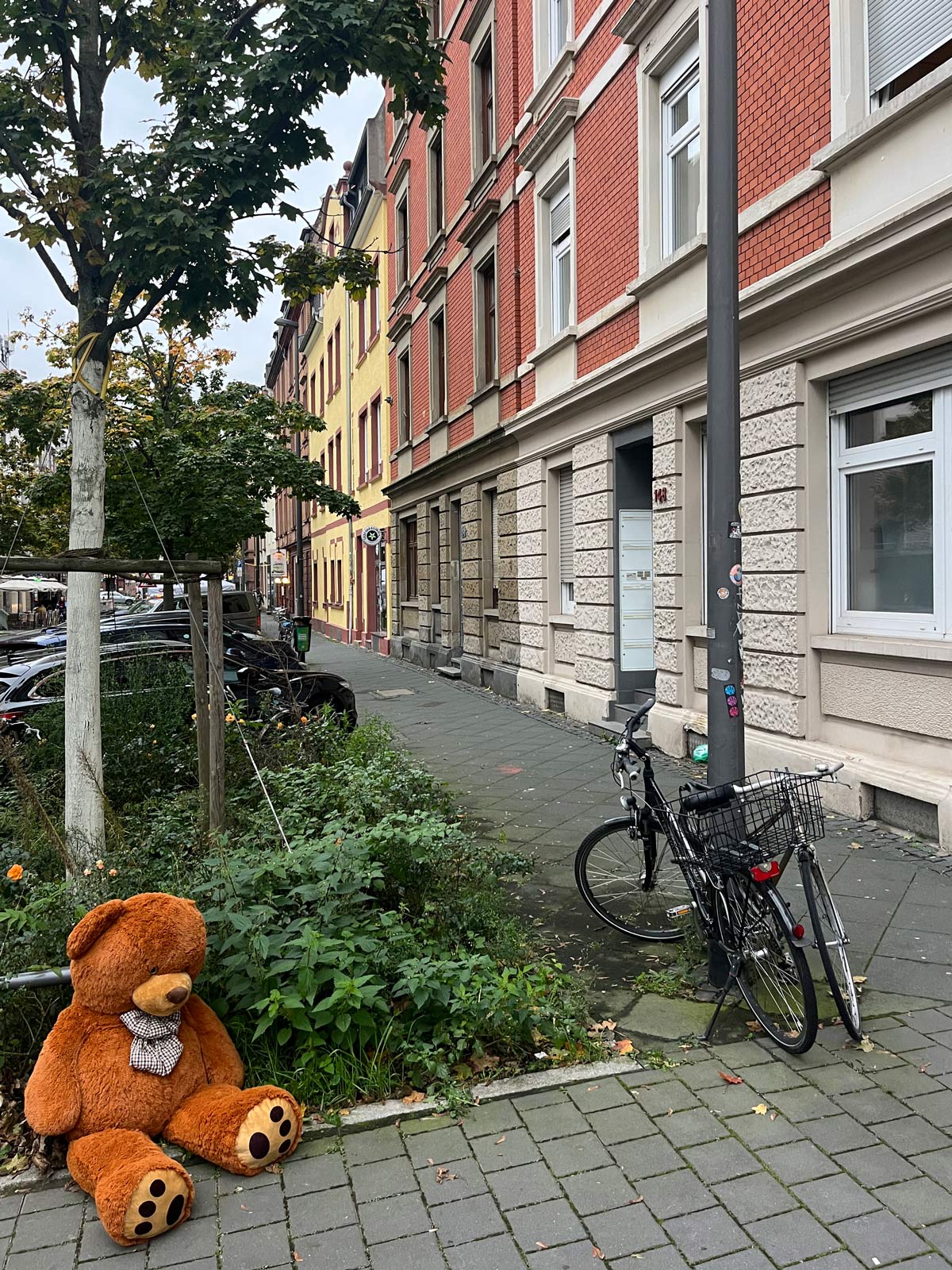 Großer Teddy auf der Straße im Stadtteil Bornheim