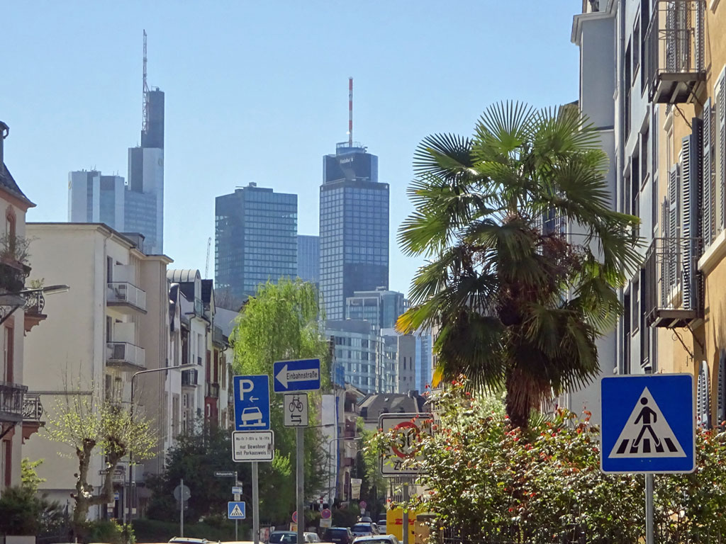 Frankfiurt Westend - Skylineblick und Palme